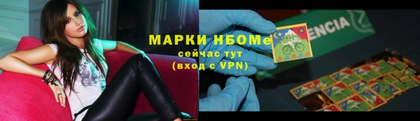 СК Алексин