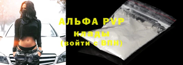 СК Алексин