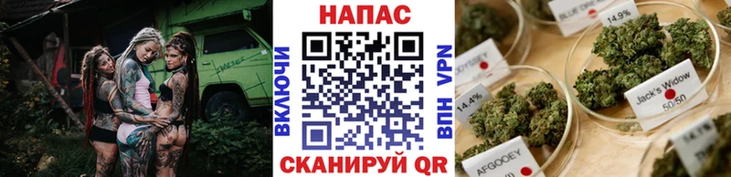 Купить закладки  Гагарин  Каннабис VHQ 